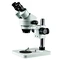 stereo microscope